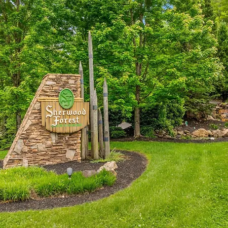 5-Star Celebration Villa Pigeon Forge Exterior photo
